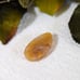 Yellow Golden Amber Beryl Designer Cut Cabochon S055