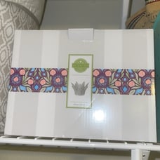 Scentsy aloe Vera warmer