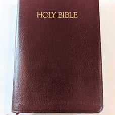 Nelson Holy Bible Giant Print bonded leather Thumb Indexed Burgundy NICE copy!