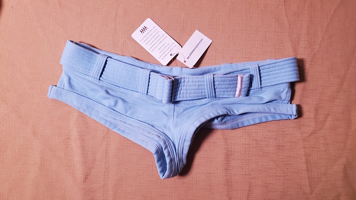 wicked weasel medium 156 lighthouse shorts organic cotton discontinued baby blue