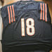Custom Sewn Bears Jersey 3XL Williams