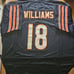 Custom Sewn Bears Jersey 3XL Williams