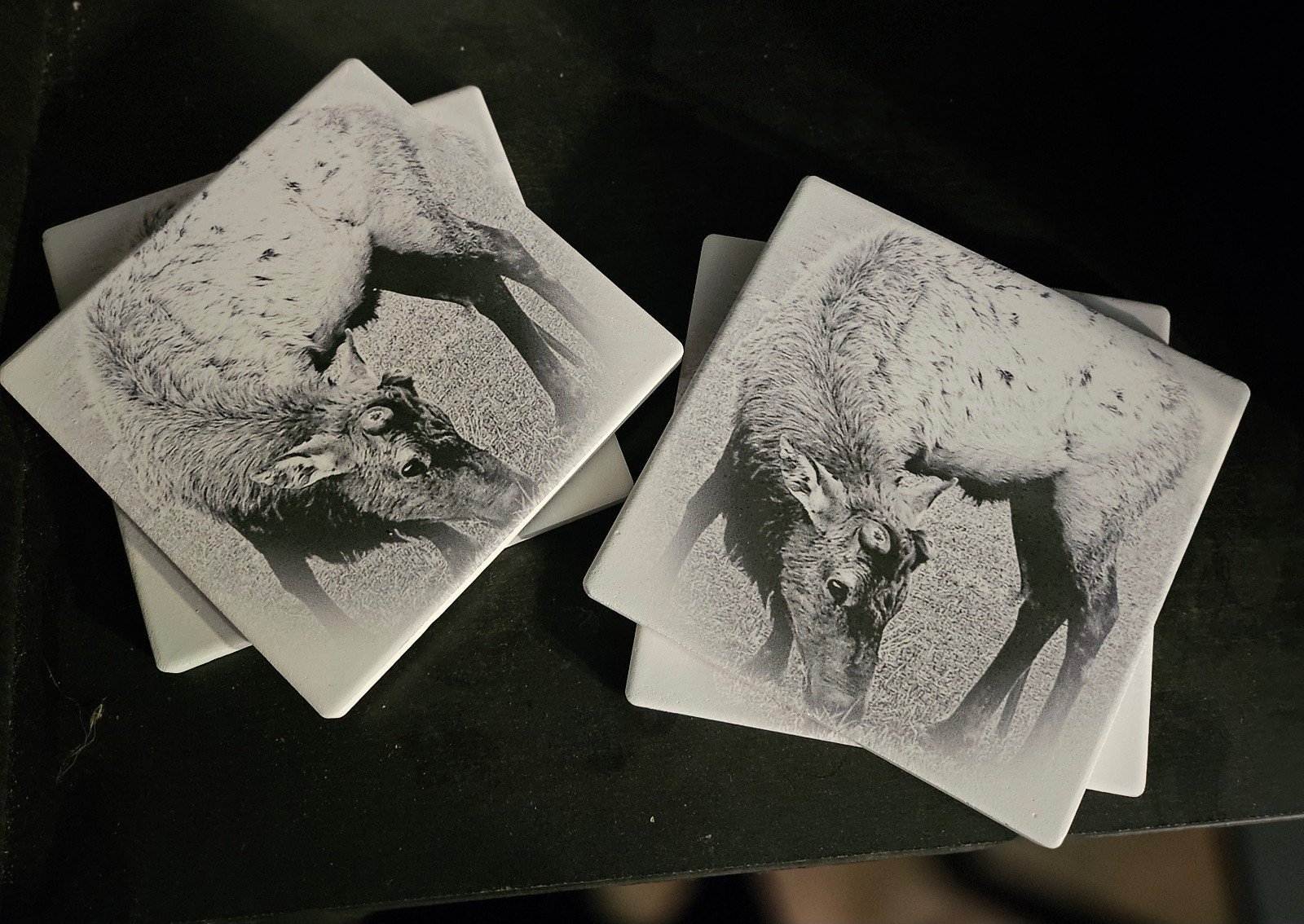 Elk Coasters