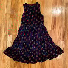 Janie and Jack holiday dress