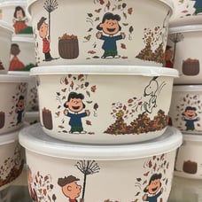 3 pc fall / thanksgiving melamine bowls !