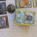 Pokemon Card Collection
