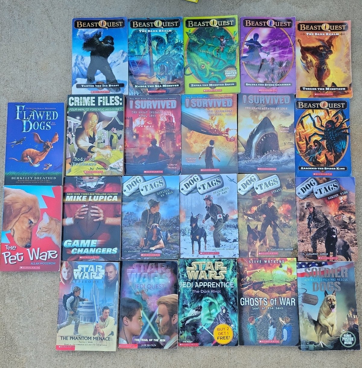 Scholastic children's book lot of 22