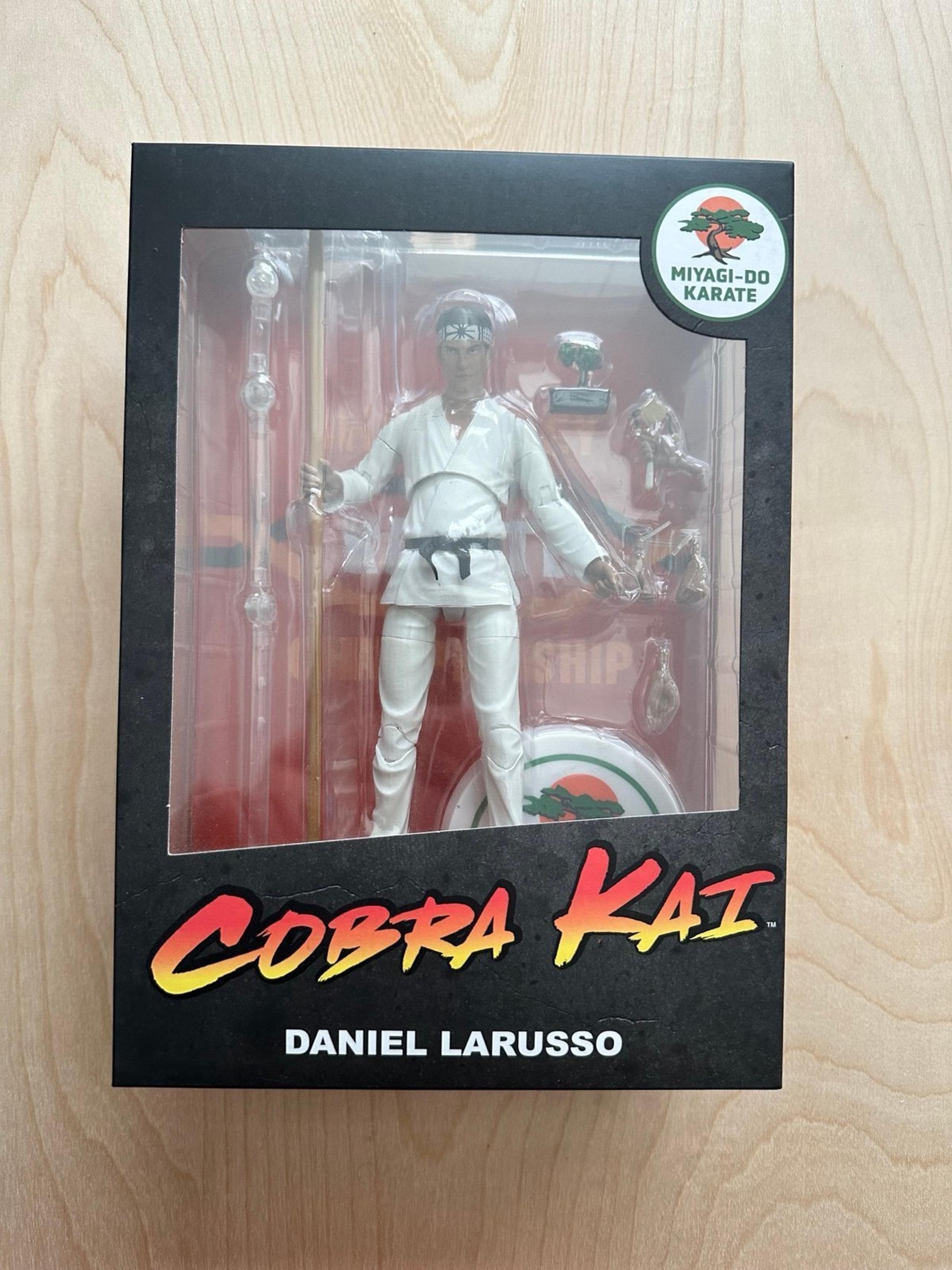 Diamond Select COBRA KAI SERIES 1 Daniel Larusso action figure