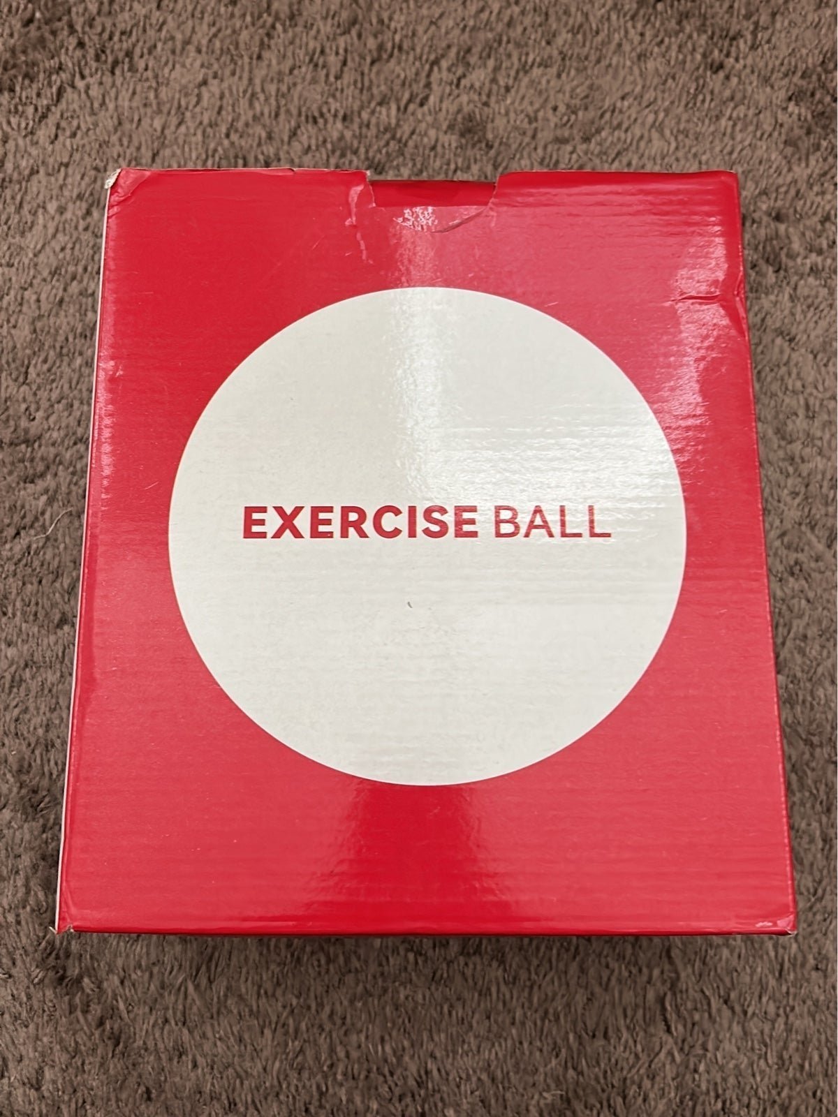 ReeHut Exercise Ball