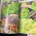 Chinese language illustrated history for children books