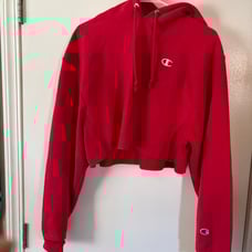 Champion cropped hoodie