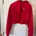 Champion cropped hoodie