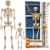 Posable Life Size Human Skeleton Family Set of 2