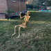 Posable Life Size Human Skeleton Family Set of 2