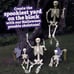 Posable Life Size Human Skeleton Family Set of 2