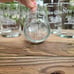 New Glarus Brewing Company 14 Beer Glasses