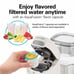 Aqua Fusion Electric Water Filtration System with Clean Guard Filter, 64 oz.