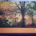 Lot of 15 1000 piece puzzles