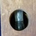Primitive Dr. Forbes Bath Thermometer