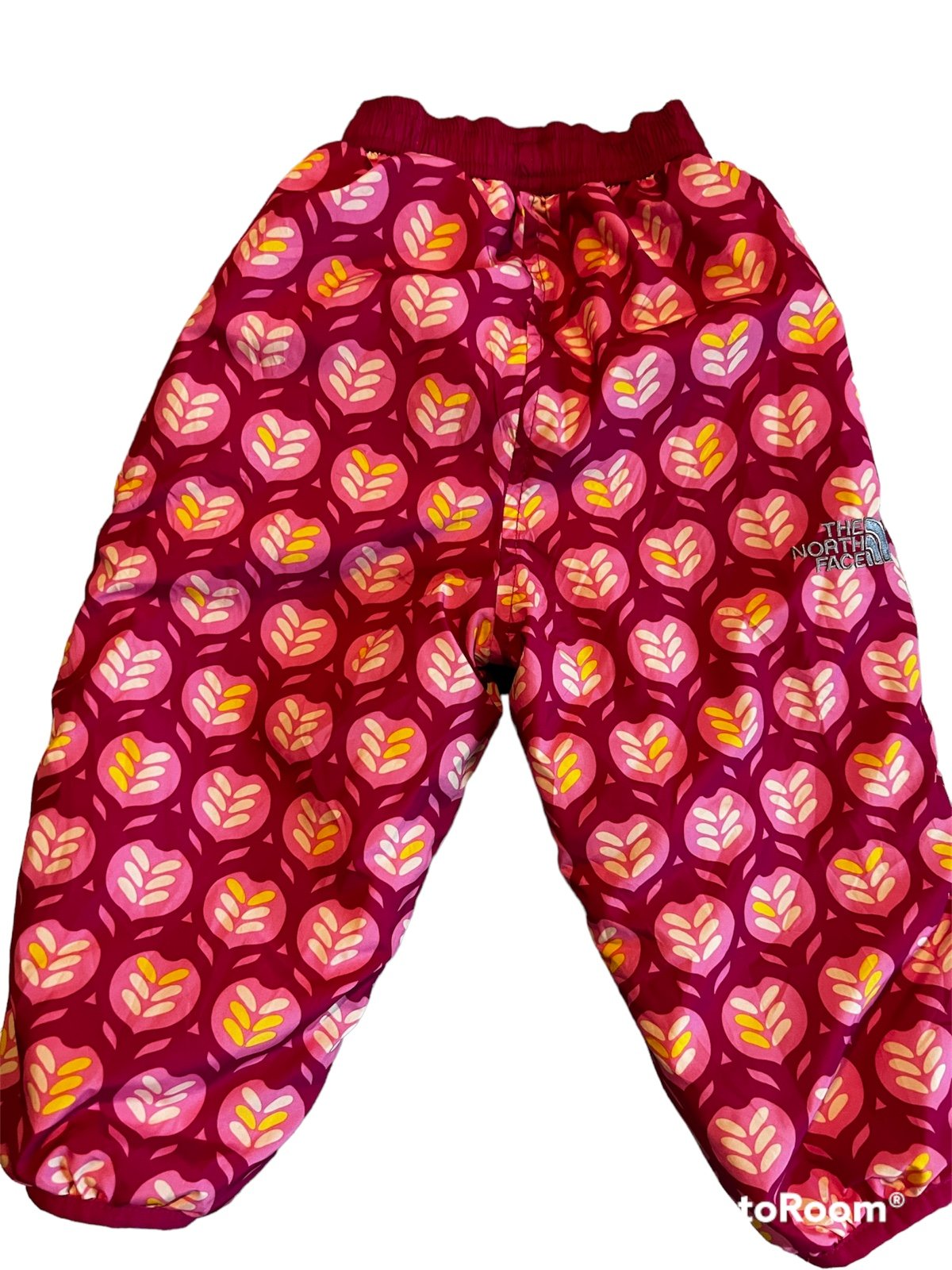 North Face snow pants