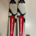 Dynastar RL T.170 Skis No Bindings & Kerma Turbo Poles