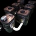 6-Plant Deluxe RDWC hydroponic system with Main Control Reservoir (37-Gallons)