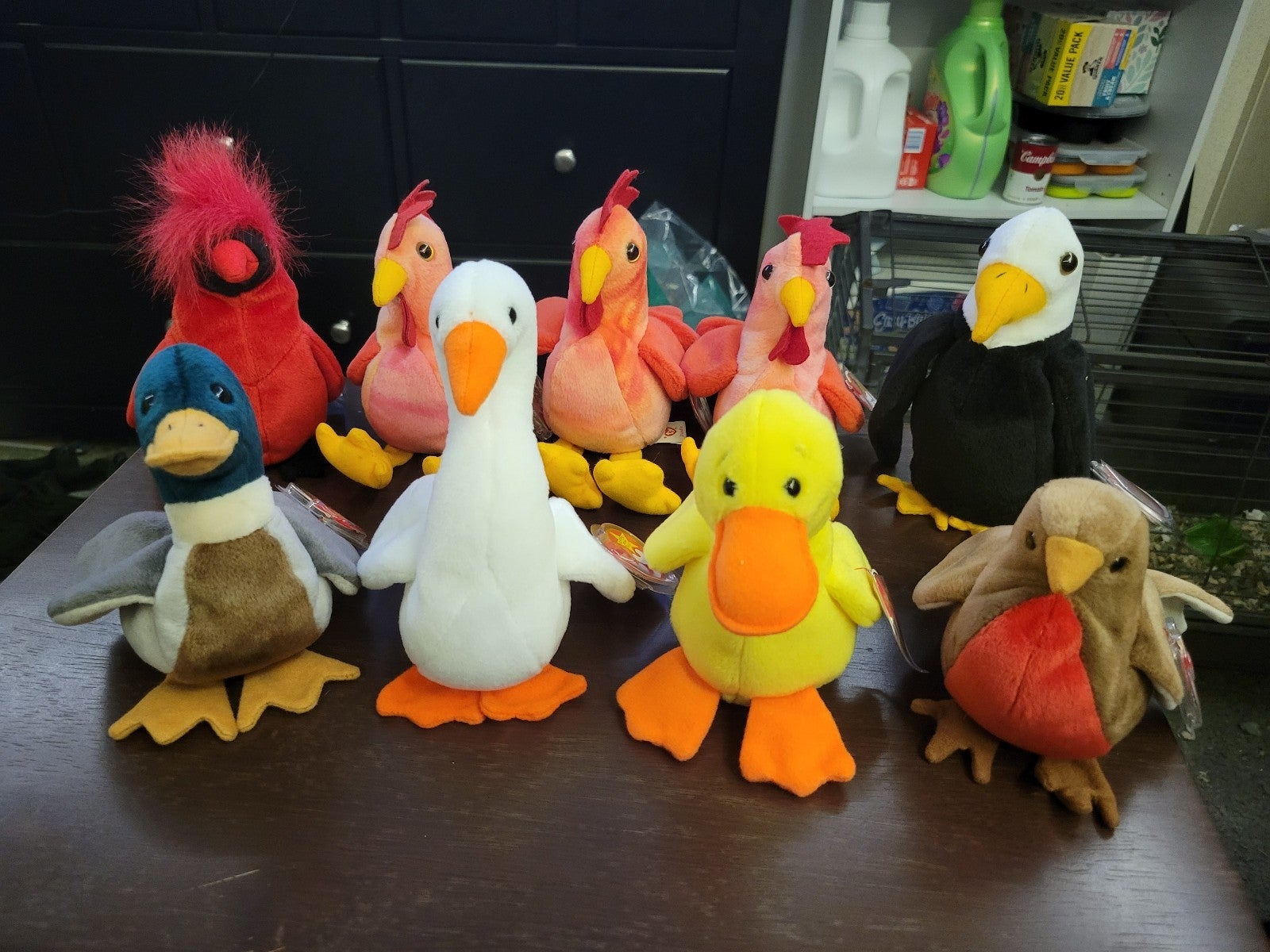 TY Beanie Babies birds