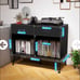 Vinyl stand/ record cabinet