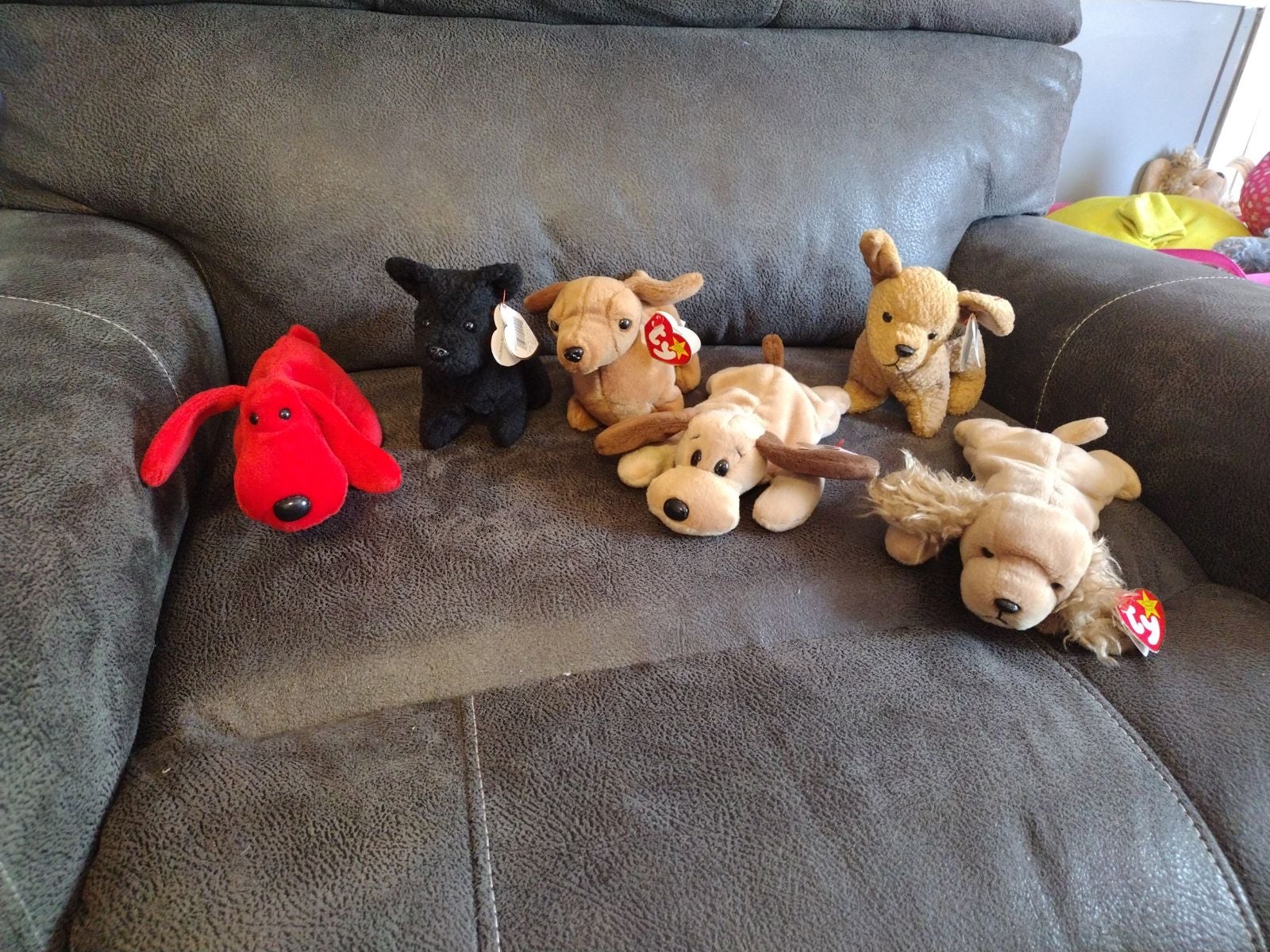 Ty Beanie Baby Lot. Rover, Weenie, Scottie, Bones, Tuffy And Spunky! Rare