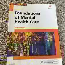 Foundations of Mental Health Care