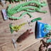 aquarium plants