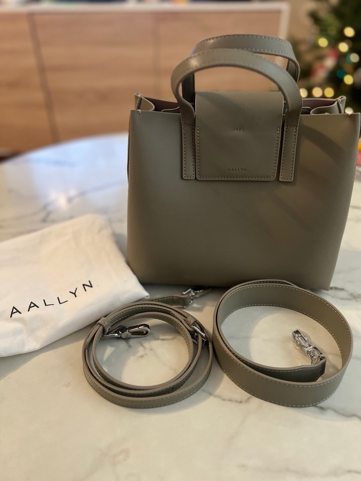 New AALLYN Medium Satchel purse in Moss.