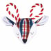 New Buddy Buddy Dog Bone Basket and 6-piece Woodland Dog Toy Set