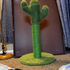 Cactus Cat Scratch Post