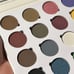 Ofra pro eyeshadow palette