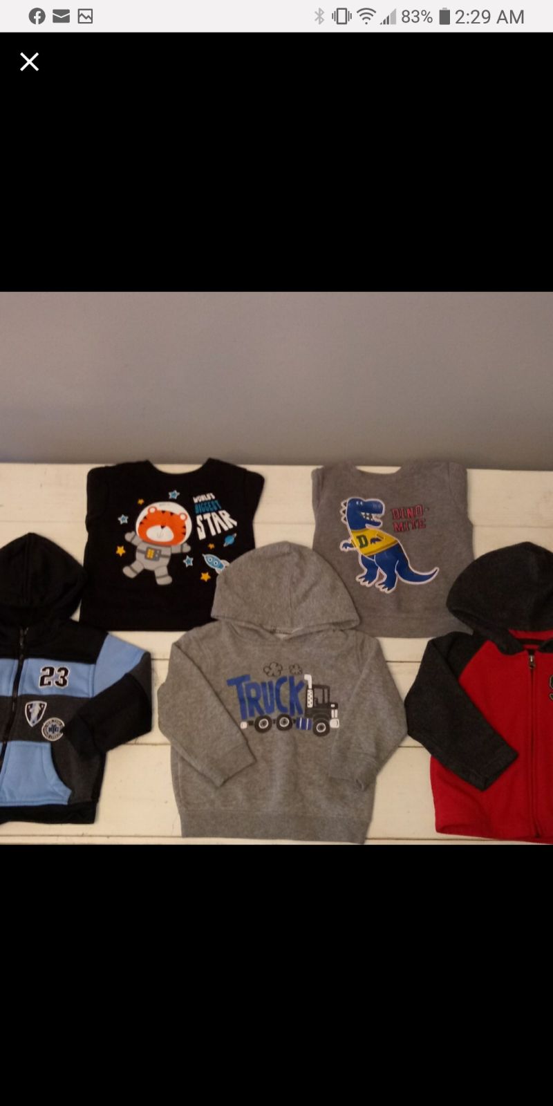 Bundle of 5 sweaters and hoodies for 2T