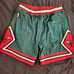 Mitchell and Ness Authentic Chicago Bulls shorts size XL 48