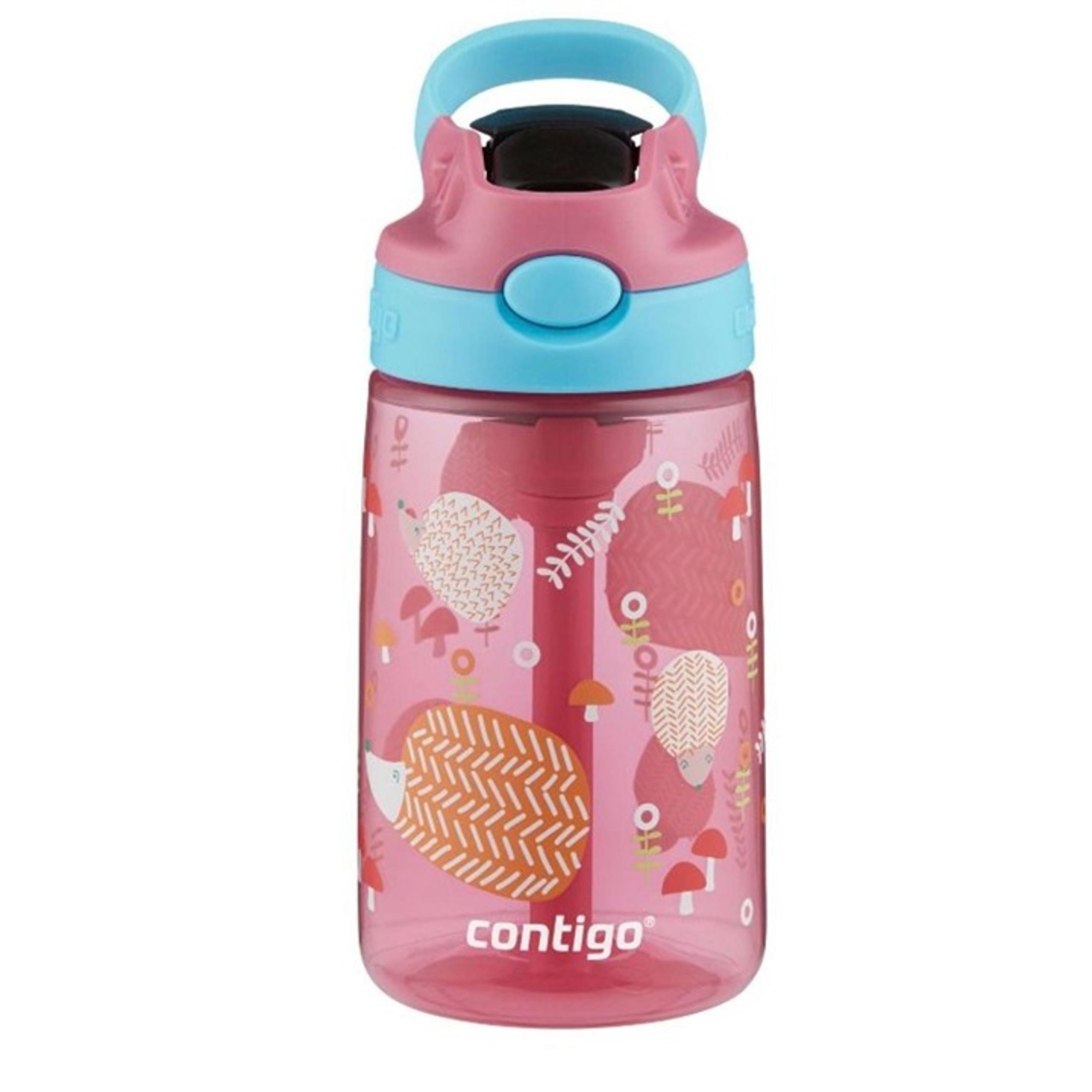 Contigo Plastic Kids' Water Bottle Hedgehog 14 oz