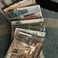 27 magazines Magnolia