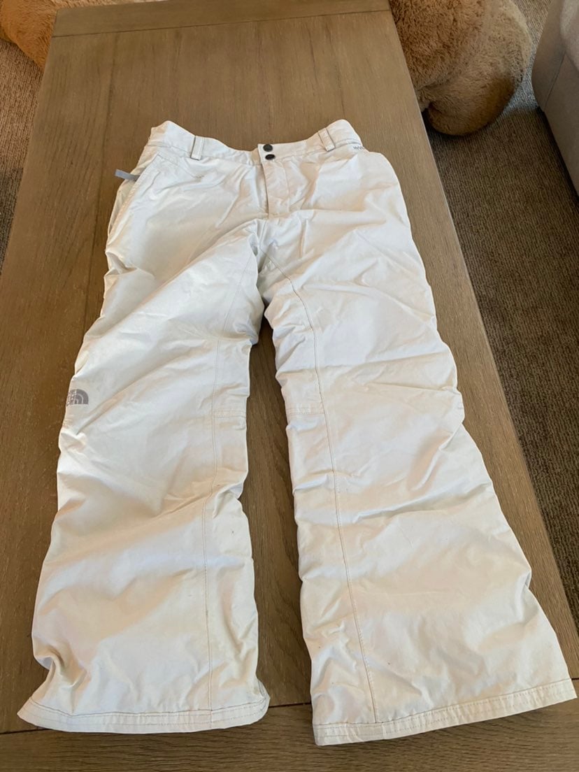 The north face snow pants