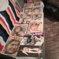 Vintage lot of 17 Elvis Presley newspapers, magazines, concert program. And book
