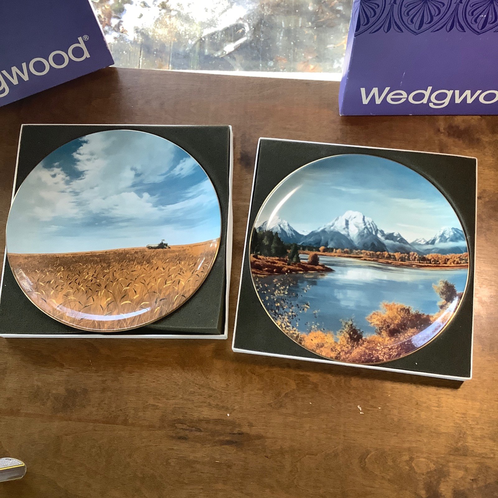 1976 Wedgwood Great Plains & Rocky Mountains America the Beautiful Plates Price.