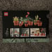 LEGO Botanical Collection Tiny Plants