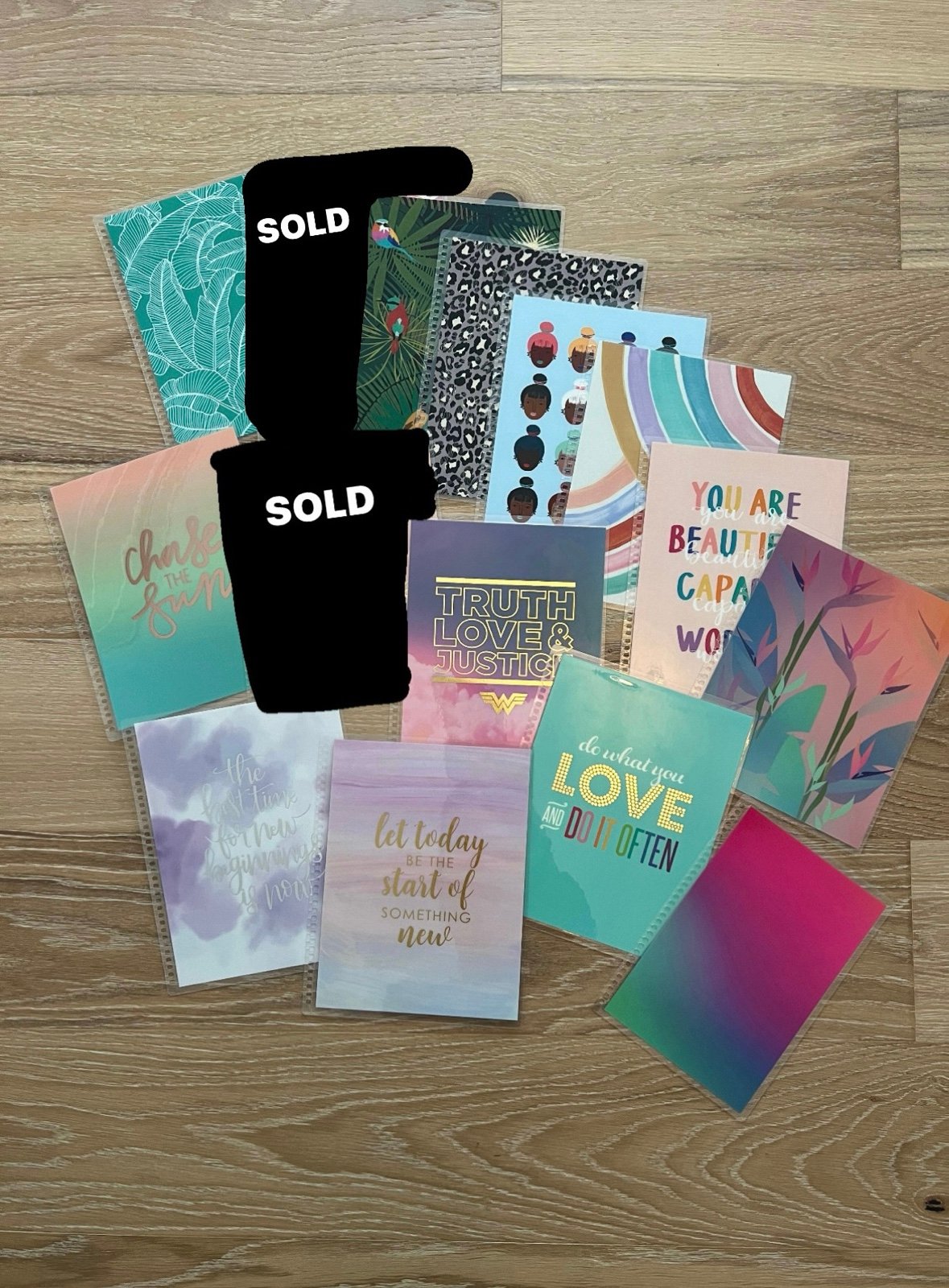 Erin Condren snap in cover bundle