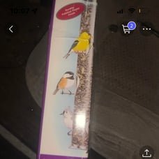 Droll yankee bird feeder