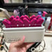 Clairol QuickLift Heated Styling Clips Volumizing 90s Hair 12 Clips TikTok