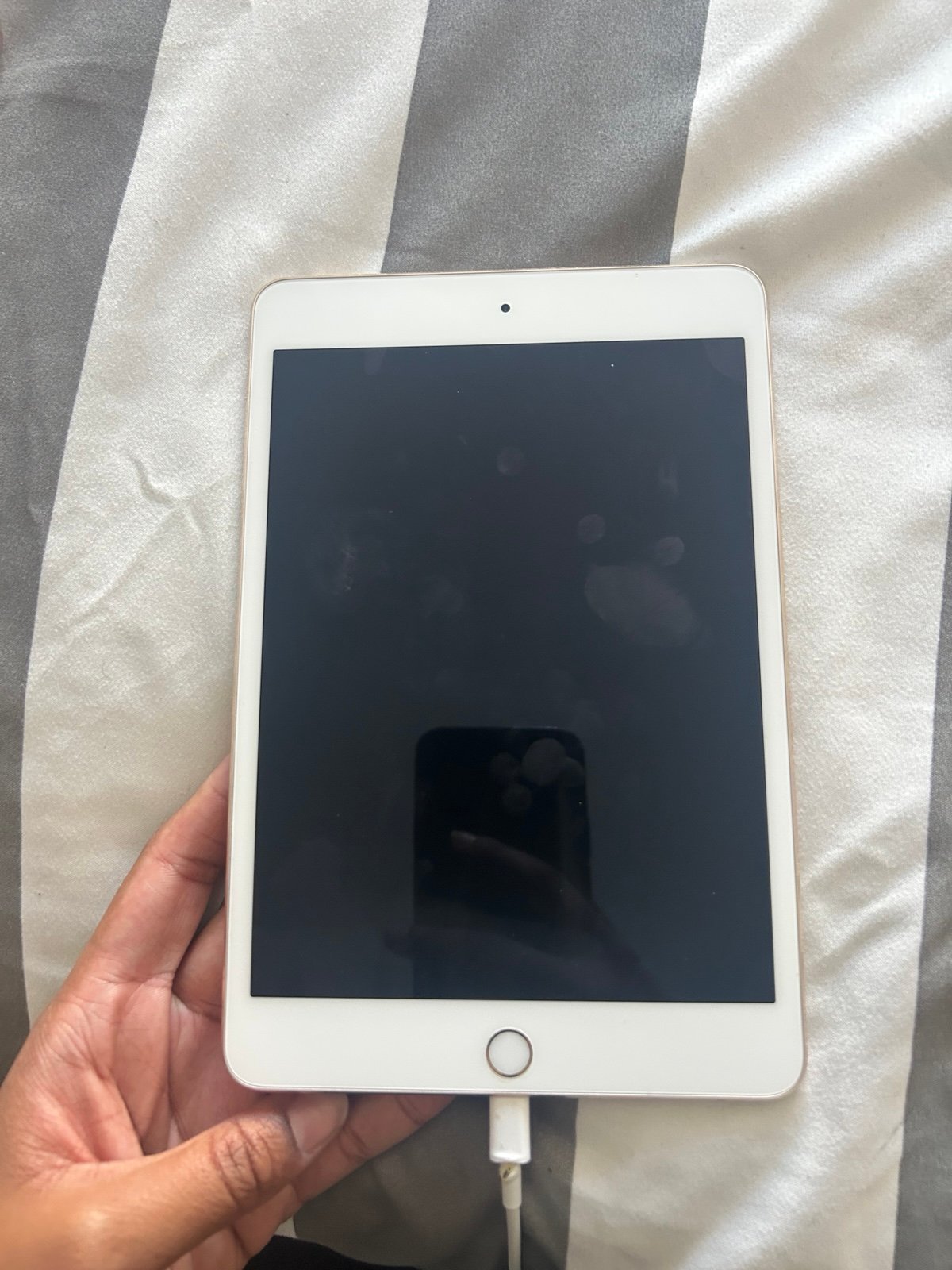 Apple iPad