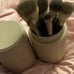 Rose Inc beauty 6 brushes plus brush holder