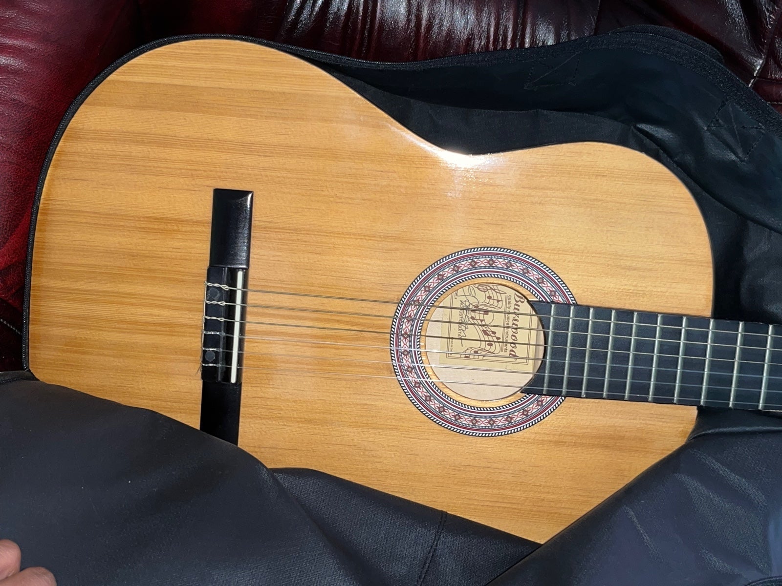 acoustic guitar
