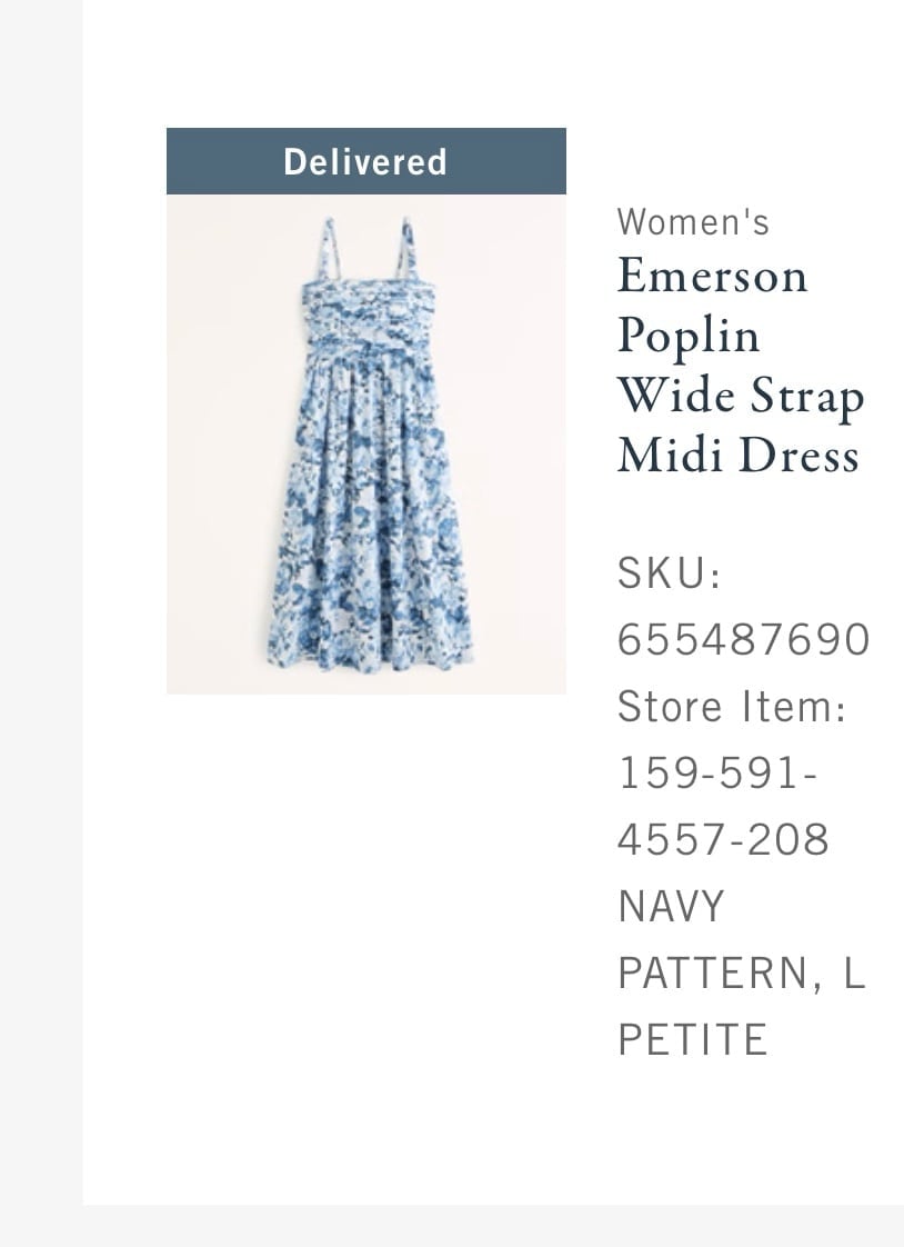 Abercrombie & fitch dress